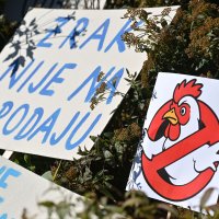 Prosvjed protiv farme Veliki Pažut