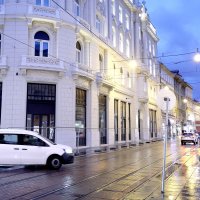 Kavana Corso