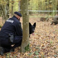 Međunarodni K9 Forum s vojno-radnim psima