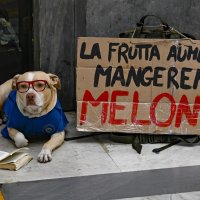 Prosvjedi u Italiji