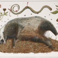 Izložba Biciklistički dnevnik Stipana Tadića