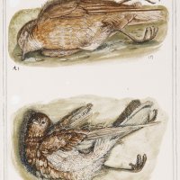 Izložba Biciklistički dnevnik Stipana Tadića