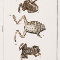 Izložba Biciklistički dnevnik Stipana Tadića