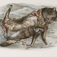 Izložba Biciklistički dnevnik Stipana Tadića