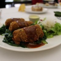 Veganski domjenak u Samoboru (3)