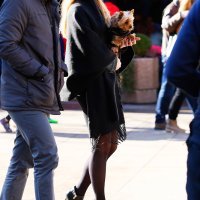 Zagrebačka špica (05)