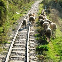 Na Aleksandrovu tragu kroz Grčku (1)