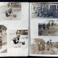 Hemingwayeve bilježnice iz djetinjstva (4)