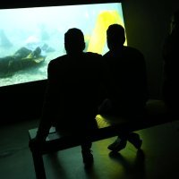 Otvorena jubilarna 10. izložba hrvatske suvremene umjetnosti