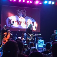 Koncert Dalea Watsona