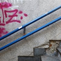 Pothodnik Savski gaj  (1)