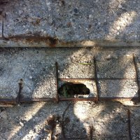 Zagrebački mostovi vape za obnovom