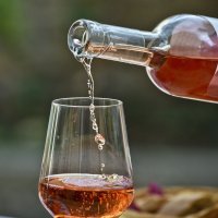 Vinarija Sladić