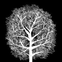 'Knjiga godine' Alfonso Cruz