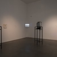 2. nagrada - Davor Sanvincenti, Nedefinirana divljina