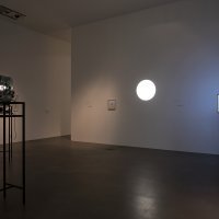 2. nagrada - Davor Sanvincenti, Nedefinirana divljina