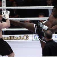 Mirko Filipović- Remy Bonjasky (4)
