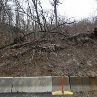 Srušena stabla u parku prirode Medvednica (10)