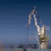 Refleksije brodogradilišta Uljanik u moru (12)