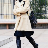 Zagrebačka špica (10)