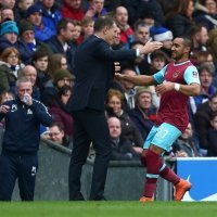 Dimitri Payet Slaven Bilić