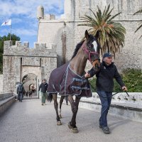 Pala prva klapa filma Robin Hood Origins (4)