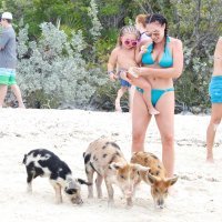 Tamara Ecclestone (6)