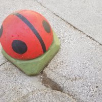 Galaxy Tab S3 - primjeri fotografija 7