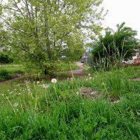 Sony Xperia XA1 - primjeri fotografija