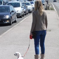 Kolone na graničnom prijelazu zbog sustavne granične kontrole i pojačanog prometa