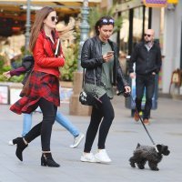 Zagrebačka špica (03)