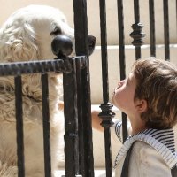 Sin Gorana Višnjića glumi malog Antu Gotovinu