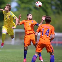 Nizozemska - Ukrajina (2)