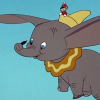 Dumbo