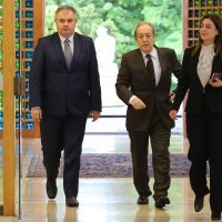 Robert Janković, Furio Radin