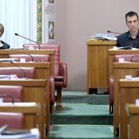 Saucha u Saboru na Dan D