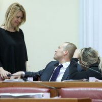 Saucha u Saboru na Dan D