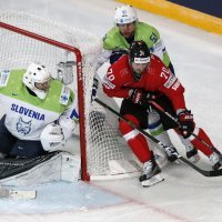 SP u hokeju, Slovenija - Švicarska (5)
