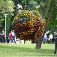 52. Floraart na Bundeku (2)