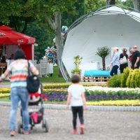 52. Floraart na Bundeku