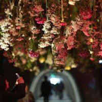 Cvjetarnik u tunelu Grič (2)