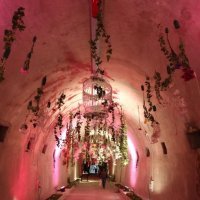 Cvjetarnik u tunelu Grič (4)