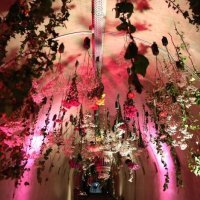 Cvjetarnik u tunelu Grič (5)