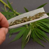 Marihuana