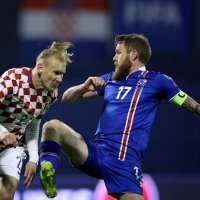 Domagoj Vida