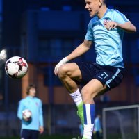 Domagoj Vida