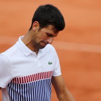 Novak Đoković (1)