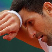 Novak Đoković (6)