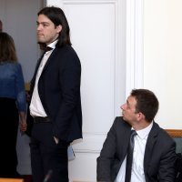 Ivan Vilibor Sinčić na Odboru za obrazovanje