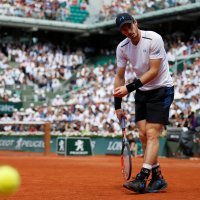 Andy Murray (4)